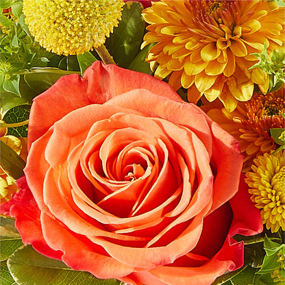 Gourdgeous Pumpkin – FELTY-ROLAND FLORIST & PLANT INC, Elizabethton TN