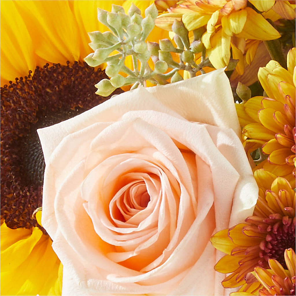 Pumpkin to Talk About Bouquet – FELTY-ROLAND FLORIST & PLANT INC, Elizabethton TN