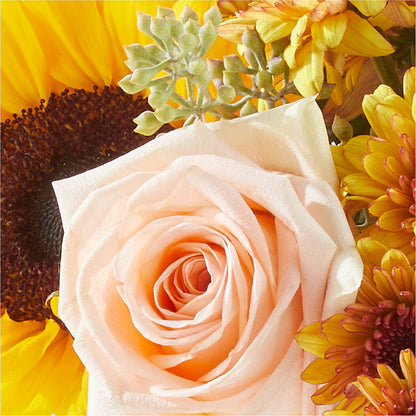 Pumpkin to Talk About Bouquet – FELTY-ROLAND FLORIST & PLANT INC, Elizabethton TN