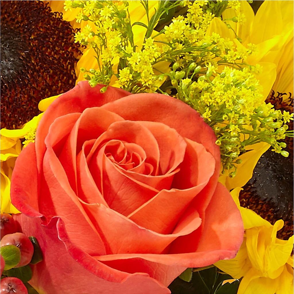 Pick of the Patch Pumpkin Bouquet – FELTY-ROLAND FLORIST & PLANT INC, Elizabethton TN