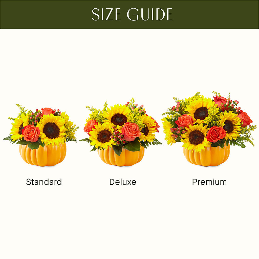 Pick of the Patch Pumpkin Bouquet – FELTY-ROLAND FLORIST & PLANT INC, Elizabethton TN