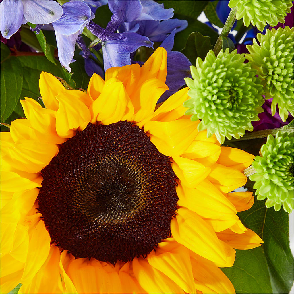 Catching Rays Bouquet – FELTY-ROLAND FLORIST & PLANT INC, Elizabethton TN
