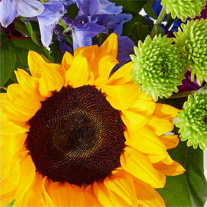 Catching Rays Bouquet – FELTY-ROLAND FLORIST & PLANT INC, Elizabethton TN