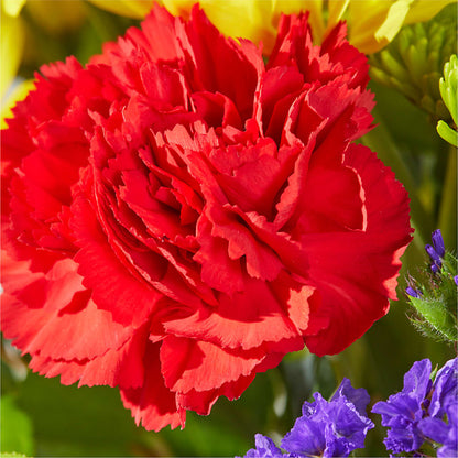 Brighter Days Bouquet – FELTY-ROLAND FLORIST & PLANT INC, Elizabethton TN