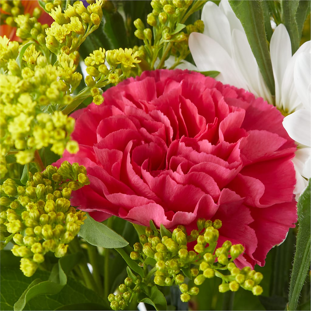 Oopsie Daisy Bouquet – FELTY-ROLAND FLORIST & PLANT INC, Elizabethton TN