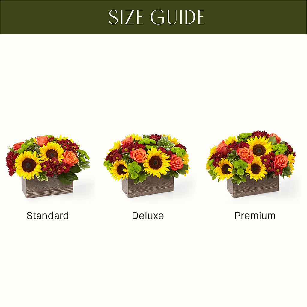 Happy Harvest Garden – FELTY-ROLAND FLORIST & PLANT INC, Elizabethton TN