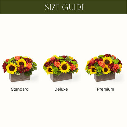 Happy Harvest Garden – FELTY-ROLAND FLORIST & PLANT INC, Elizabethton TN