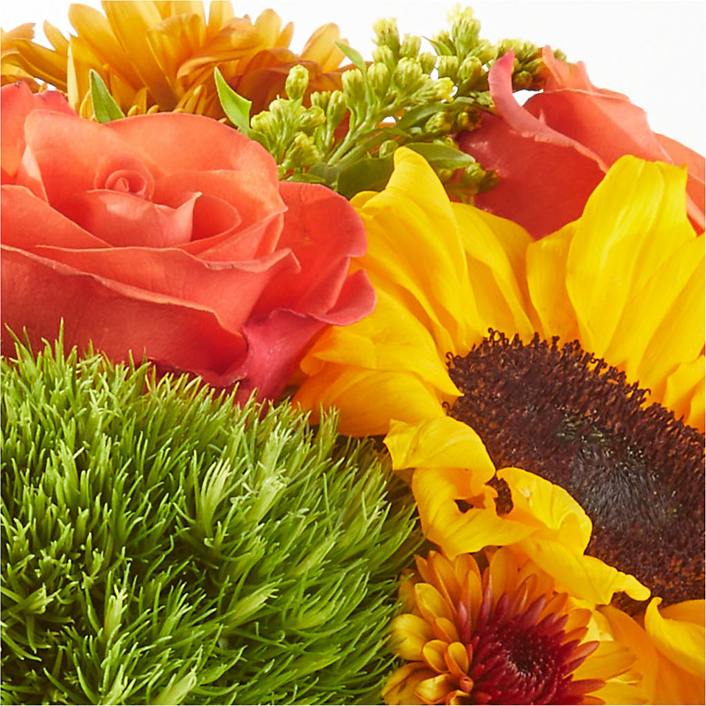 Farmer’s Market Stroll Bouquet – FELTY-ROLAND FLORIST & PLANT INC, Elizabethton TN