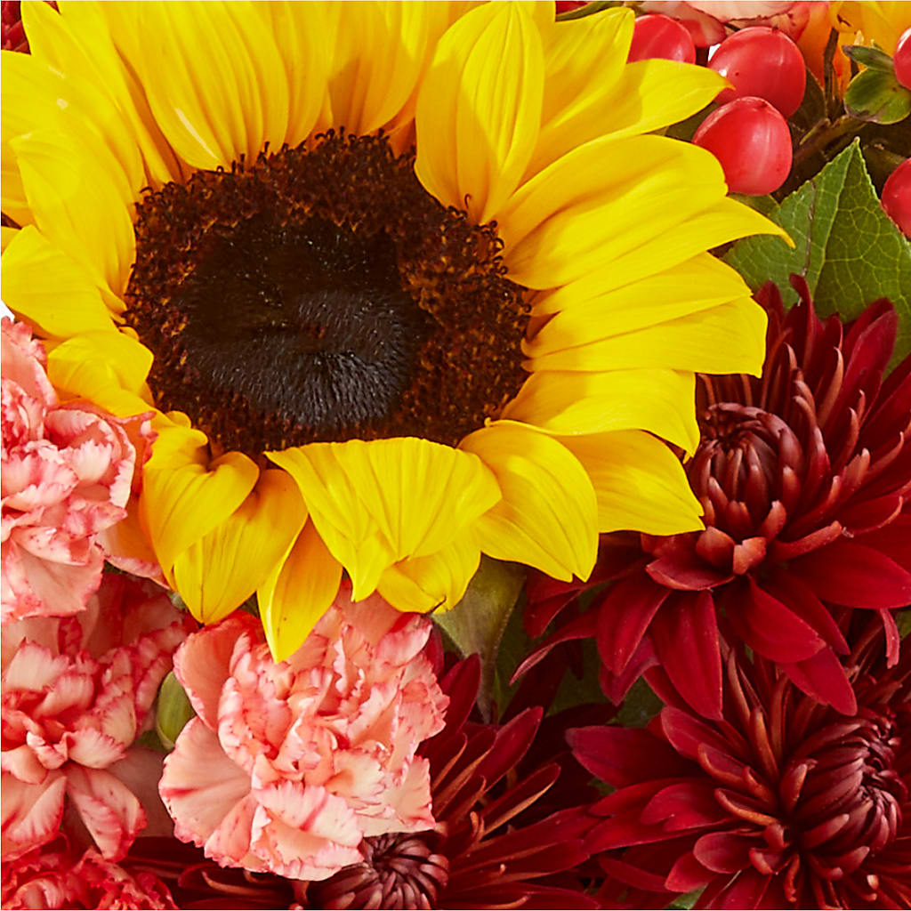 Fresh Cider Bouquet – FELTY-ROLAND FLORIST & PLANT INC, Elizabethton TN