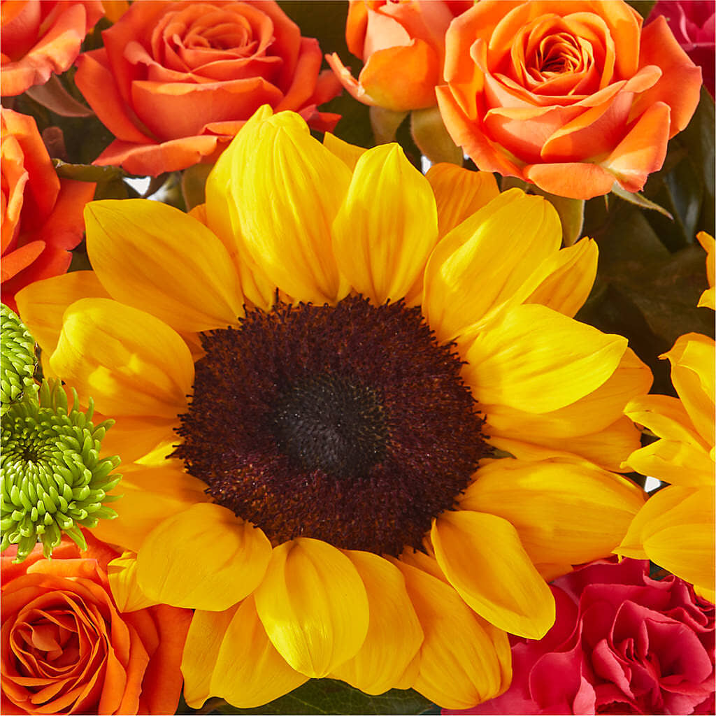 Sun-drenched Blooms Box Bouquet – FELTY-ROLAND FLORIST & PLANT INC, Elizabethton TN