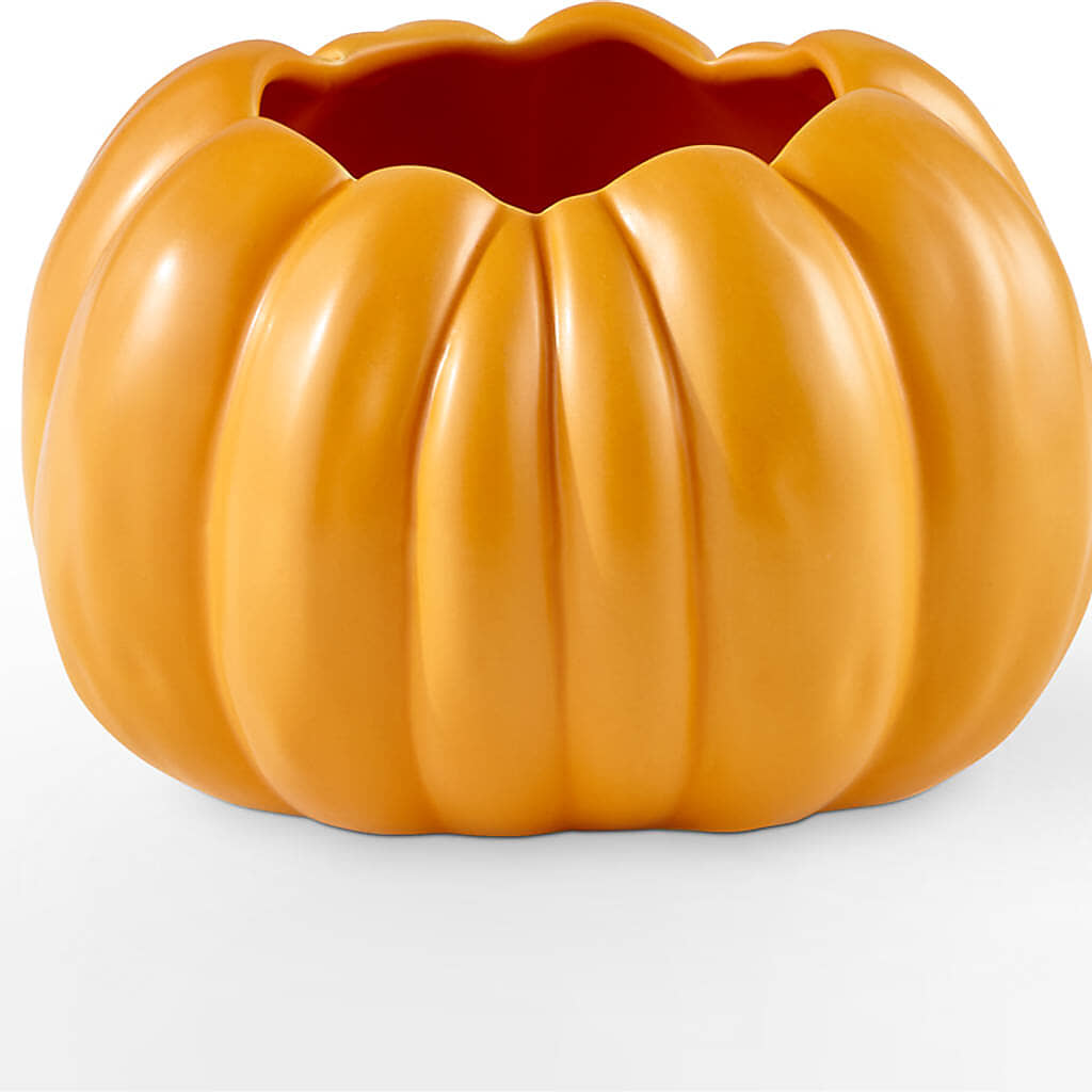 Golden Gourd Pumpkin Bouquet – FELTY-ROLAND FLORIST & PLANT INC, Elizabethton TN