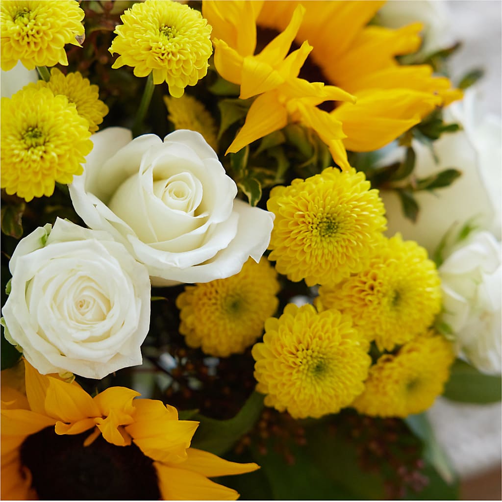 Luminous Morning Bouquet – FELTY-ROLAND FLORIST & PLANT INC, Elizabethton TN