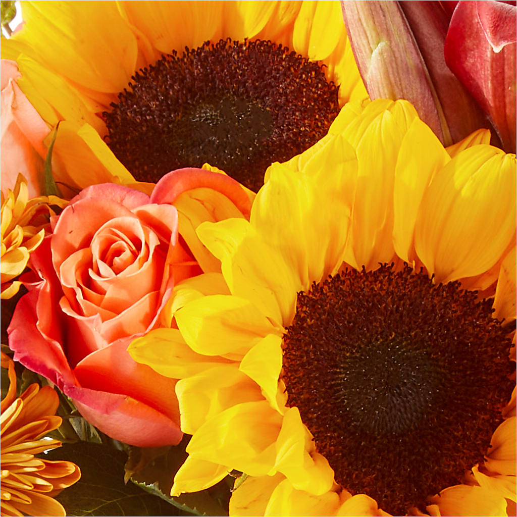 Acorn Lane Bouquet – FELTY-ROLAND FLORIST & PLANT INC, Elizabethton TN