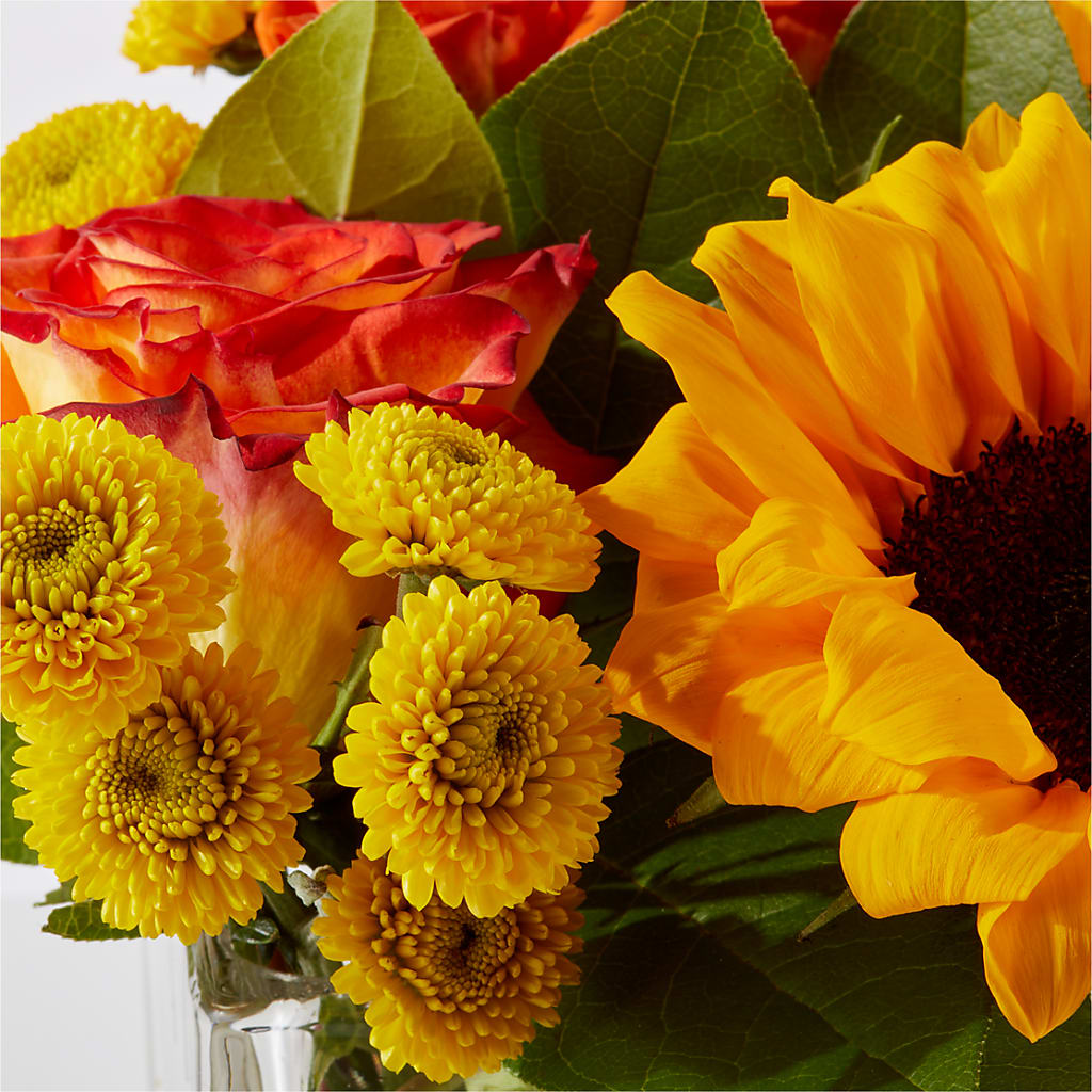 Picnic in the Park Bouquet – FELTY-ROLAND FLORIST & PLANT INC, Elizabethton TN