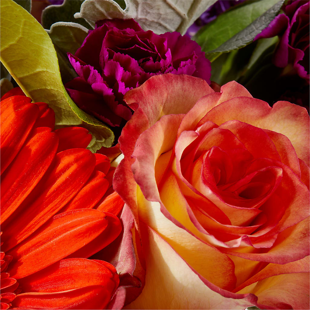 Sangria Bouquet – FELTY-ROLAND FLORIST & PLANT INC, Elizabethton TN