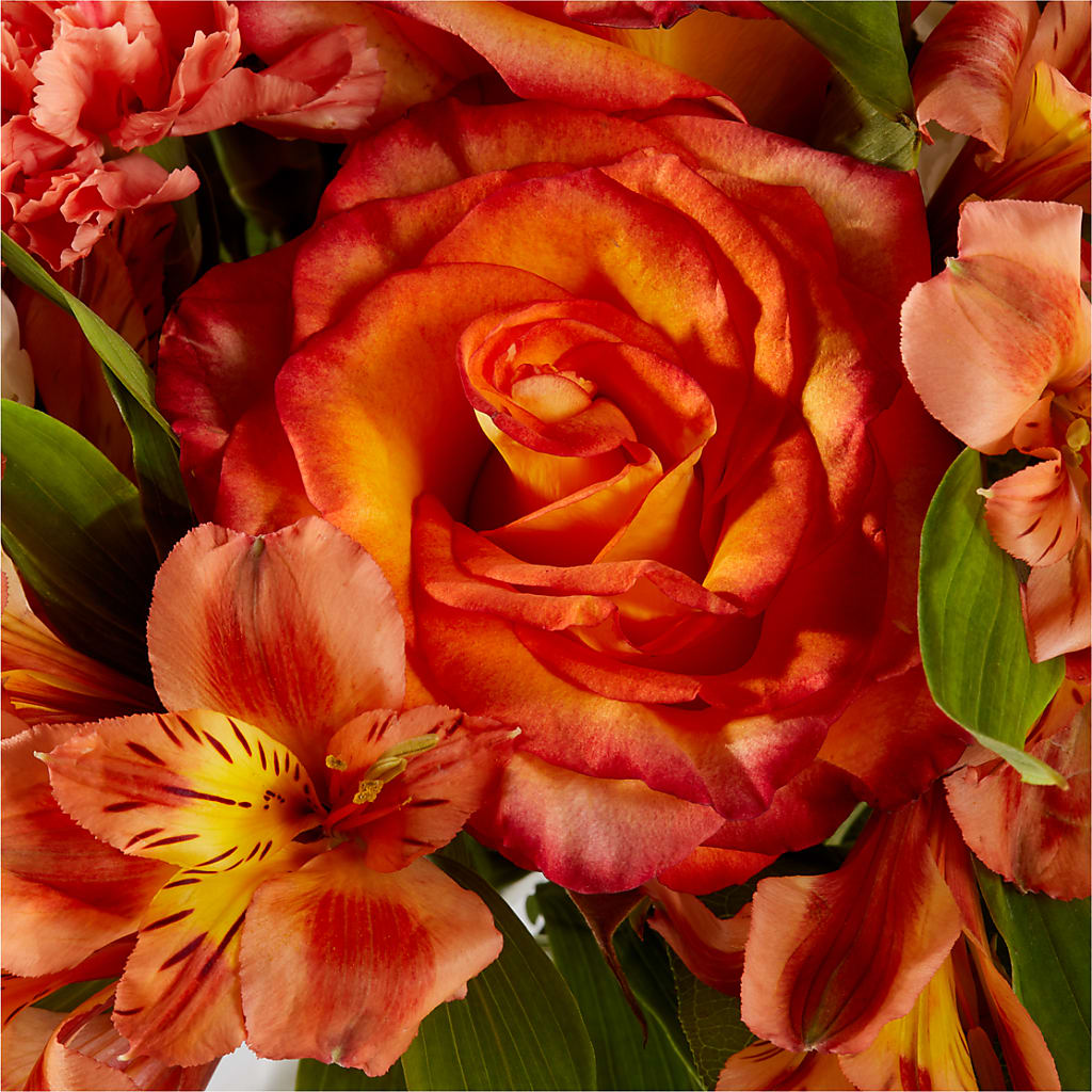 Apricot Glow Bouquet – FELTY-ROLAND FLORIST & PLANT INC, Elizabethton TN