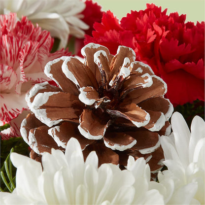 Candy Cane Lane Bouquet – FELTY-ROLAND FLORIST & PLANT INC, Elizabethton TN