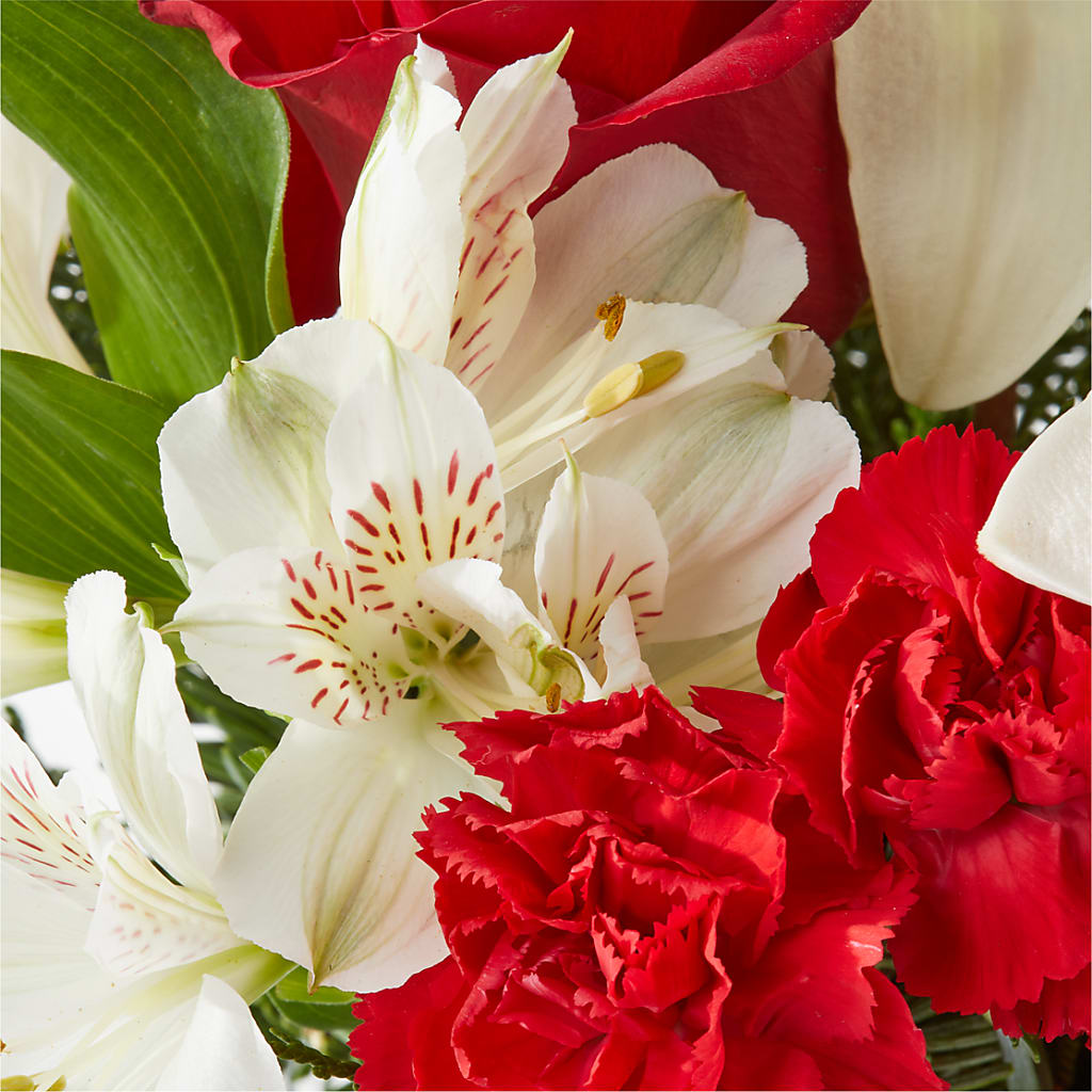 Holiday Season Bouquet – FELTY-ROLAND FLORIST & PLANT INC, Elizabethton TN