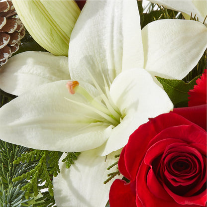 Oh So Jolly Bouquet – FELTY-ROLAND FLORIST & PLANT INC, Elizabethton TN