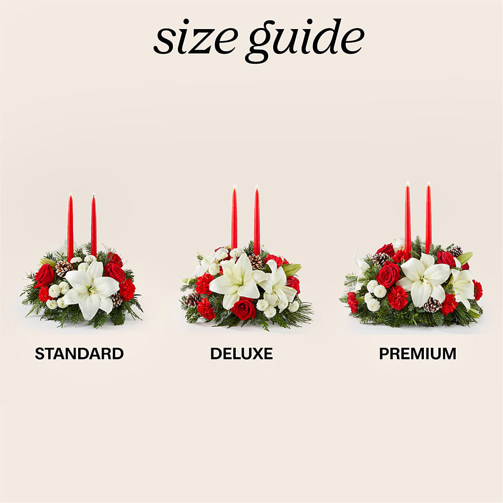 Seasonal Festivities Centerpiece – FELTY-ROLAND FLORIST & PLANT INC, Elizabethton TN