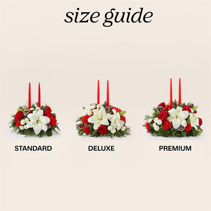 Seasonal Festivities Centerpiece – FELTY-ROLAND FLORIST & PLANT INC, Elizabethton TN