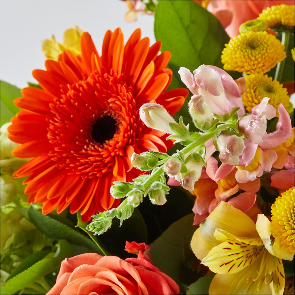 Autumn Sunshine Bouquet – FELTY-ROLAND FLORIST & PLANT INC, Elizabethton TN
