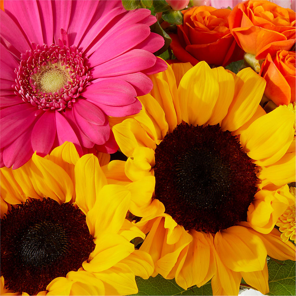 Beach Day Bouquet – FELTY-ROLAND FLORIST & PLANT INC, Elizabethton TN