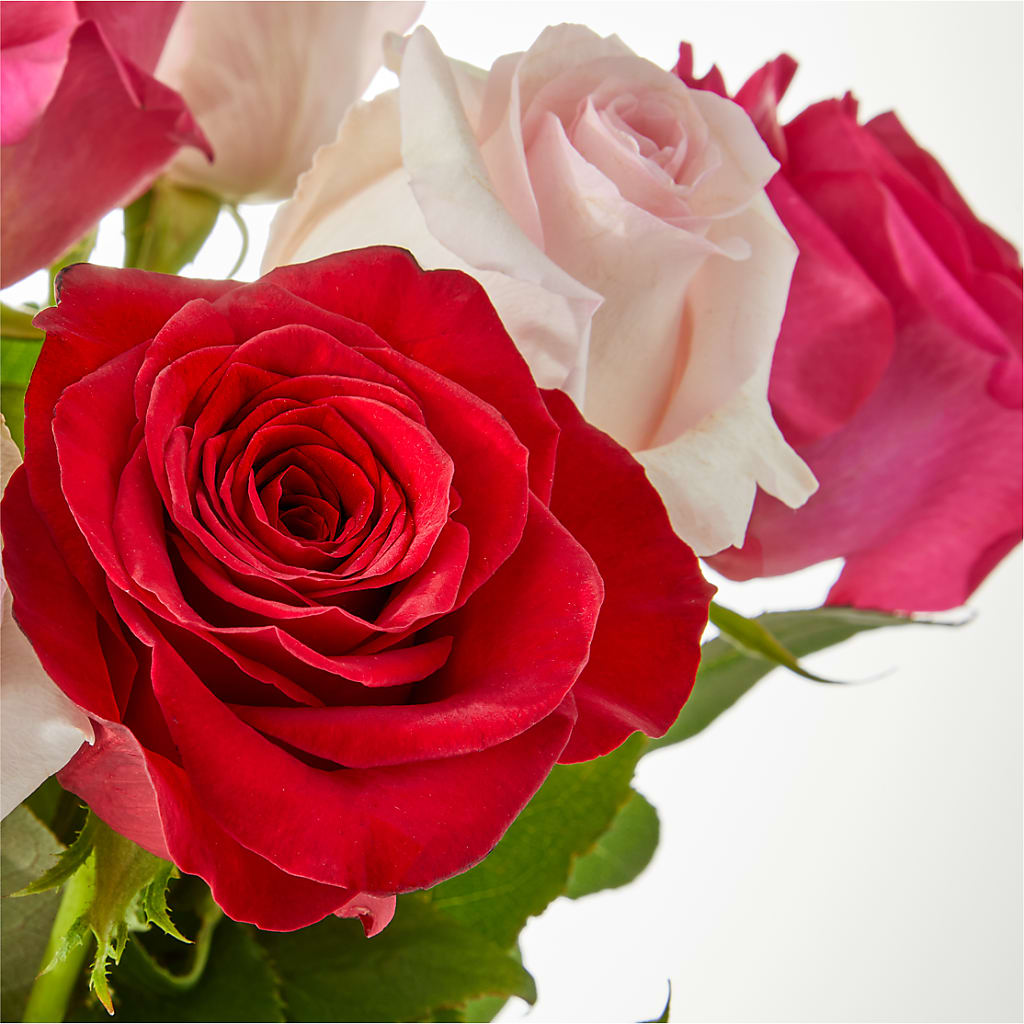 Charming Rose Bouquet – FELTY-ROLAND FLORIST & PLANT INC, Elizabethton TN