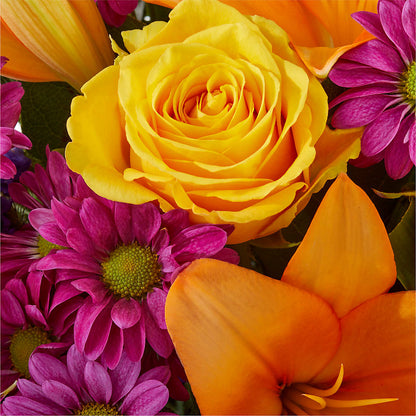 Colorful Visions Bouquet – FELTY-ROLAND FLORIST & PLANT INC, Elizabethton TN