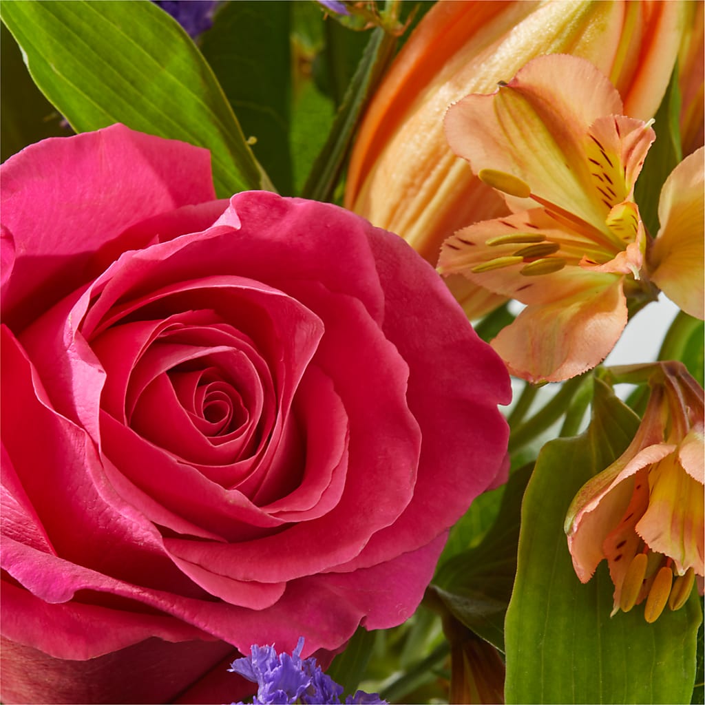 Joyful Bouquet – FELTY-ROLAND FLORIST & PLANT INC, Elizabethton TN
