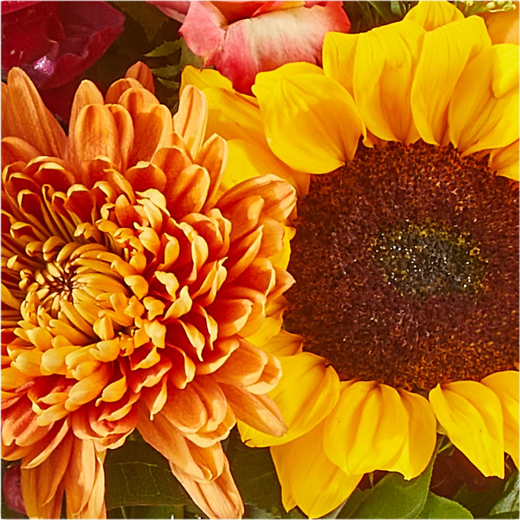 Seasons Change Bouquet – FELTY-ROLAND FLORIST & PLANT INC, Elizabethton TN