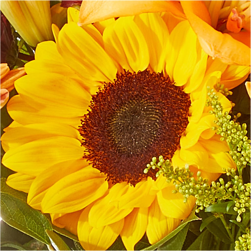 Seasons Change Bouquet – FELTY-ROLAND FLORIST & PLANT INC, Elizabethton TN