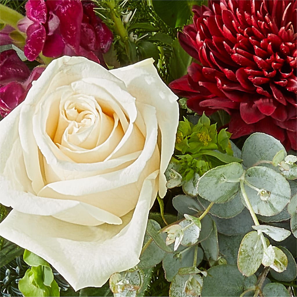 Cranberry Fizz Bouquet – FELTY-ROLAND FLORIST & PLANT INC, Elizabethton TN