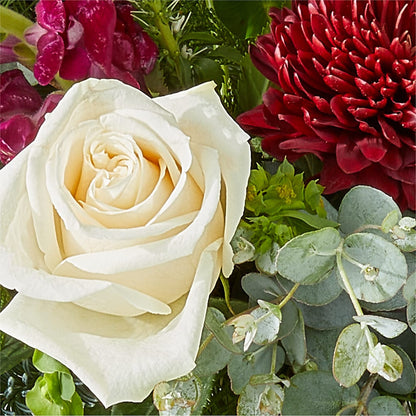 Cranberry Fizz Bouquet – FELTY-ROLAND FLORIST & PLANT INC, Elizabethton TN