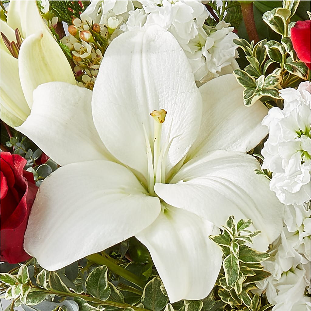 Twinkle Lights Bouquet – FELTY-ROLAND FLORIST & PLANT INC, Elizabethton TN