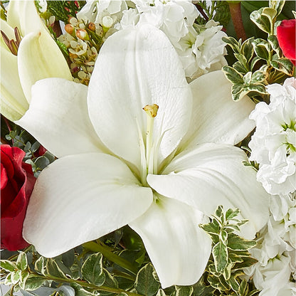 Twinkle Lights Bouquet – FELTY-ROLAND FLORIST & PLANT INC, Elizabethton TN