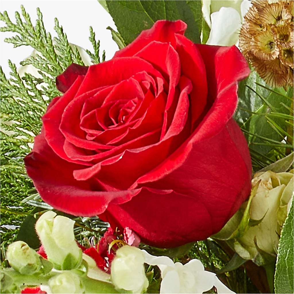 Deck the Halls Bouquet – FELTY-ROLAND FLORIST & PLANT INC, Elizabethton TN