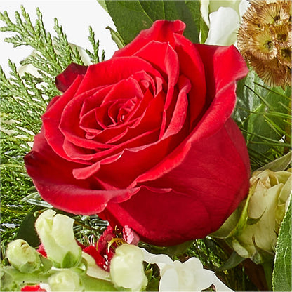 Deck the Halls Bouquet – FELTY-ROLAND FLORIST & PLANT INC, Elizabethton TN