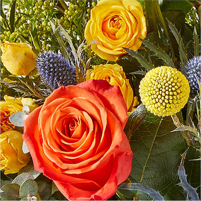 Disco Bouquet – FELTY-ROLAND FLORIST & PLANT INC, Elizabethton TN
