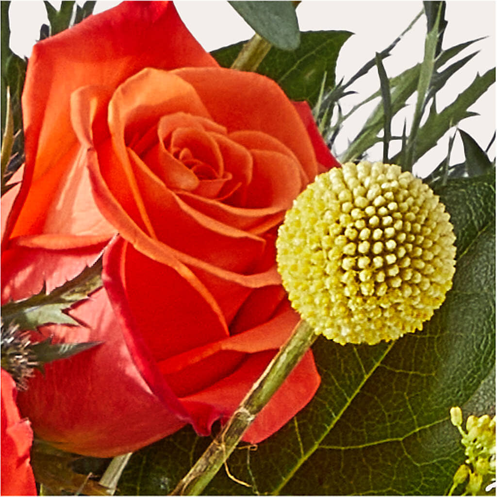 Disco Bouquet – FELTY-ROLAND FLORIST & PLANT INC, Elizabethton TN