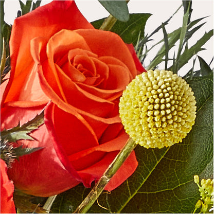 Disco Bouquet – FELTY-ROLAND FLORIST & PLANT INC, Elizabethton TN
