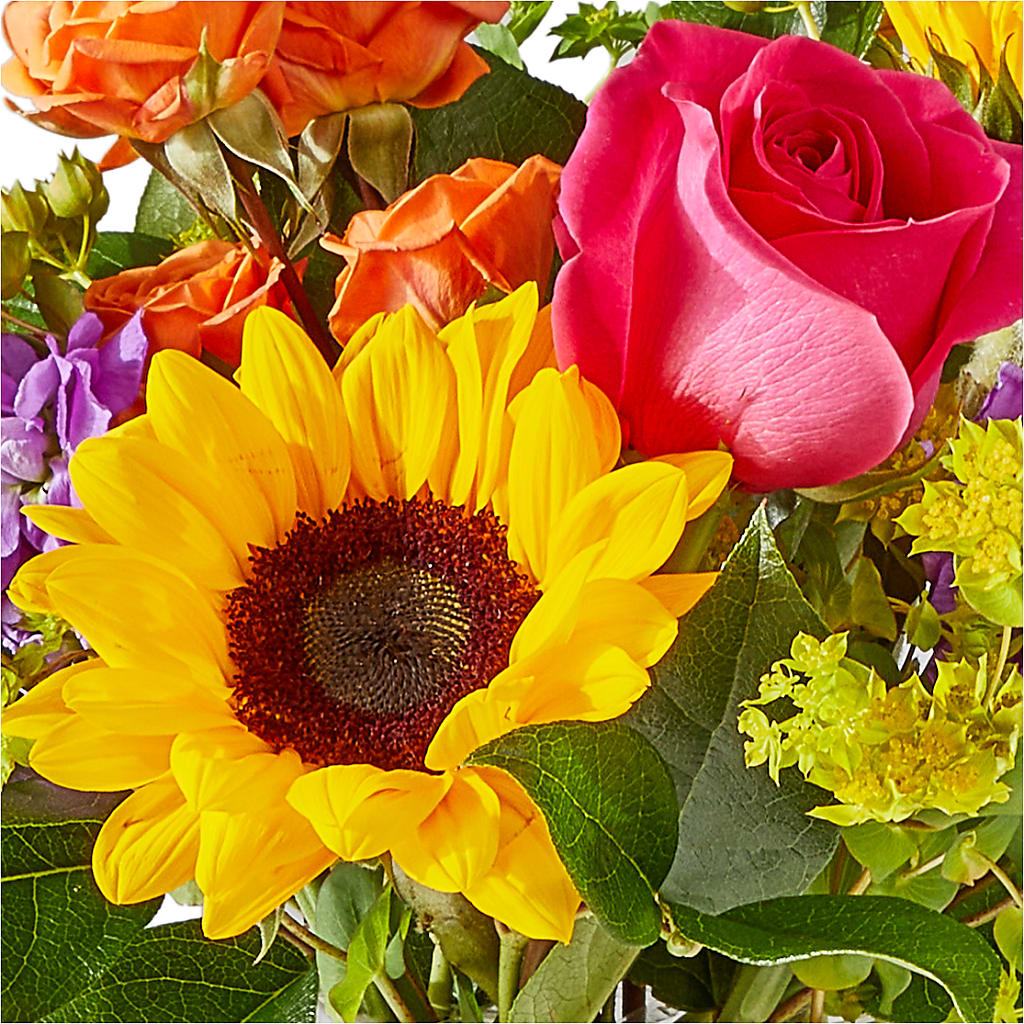 Vibrant Greetings Bouquet – FELTY-ROLAND FLORIST & PLANT INC, Elizabethton TN