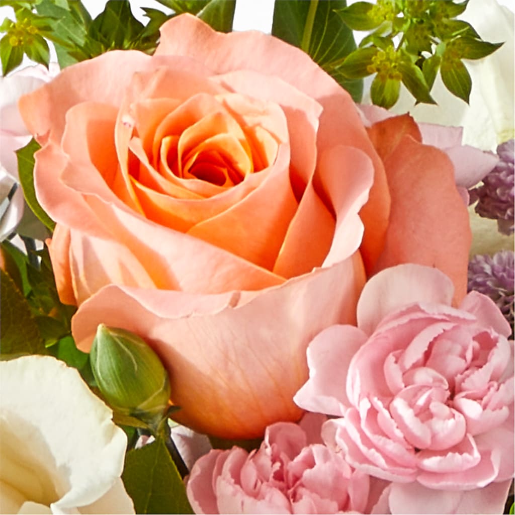 French Market Bouquet – FELTY-ROLAND FLORIST & PLANT INC, Elizabethton TN