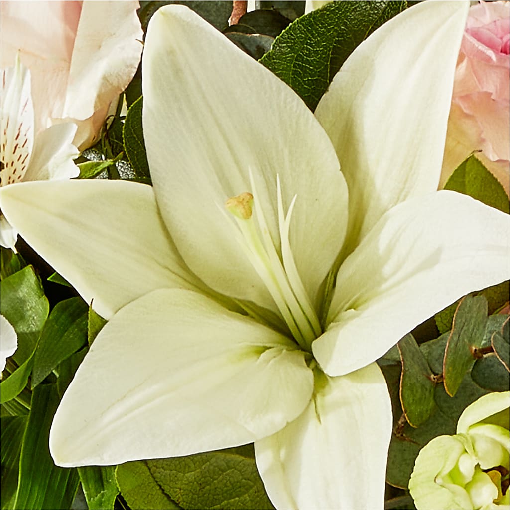 Ballet Slippers Bouquet – FELTY-ROLAND FLORIST & PLANT INC, Elizabethton TN
