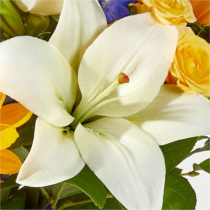 Wonderfully Sunny Bouquet – FELTY-ROLAND FLORIST & PLANT INC, Elizabethton TN