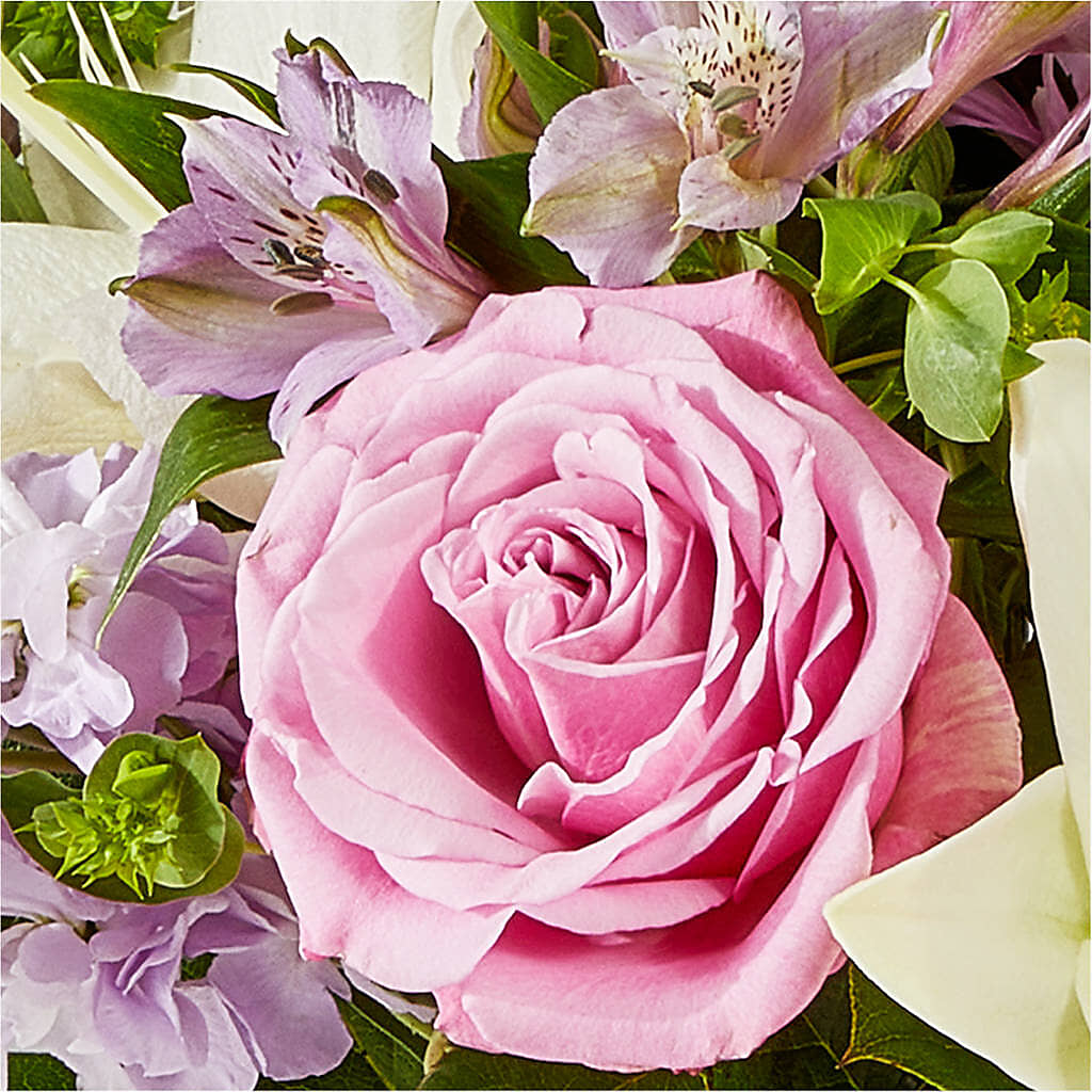 Daydreamer Bouquet – FELTY-ROLAND FLORIST & PLANT INC, Elizabethton TN