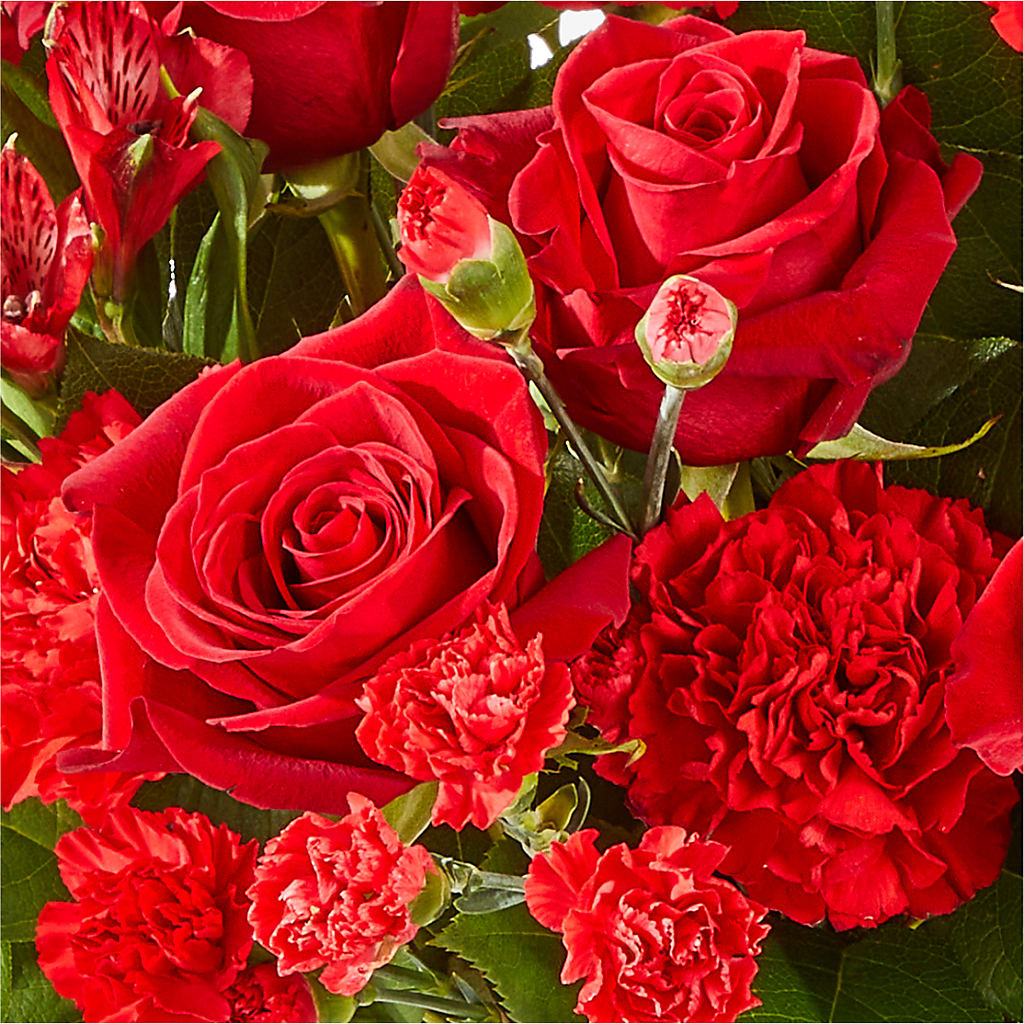 The Heartstrings Bouquet – FELTY-ROLAND FLORIST & PLANT INC, Elizabethton TN