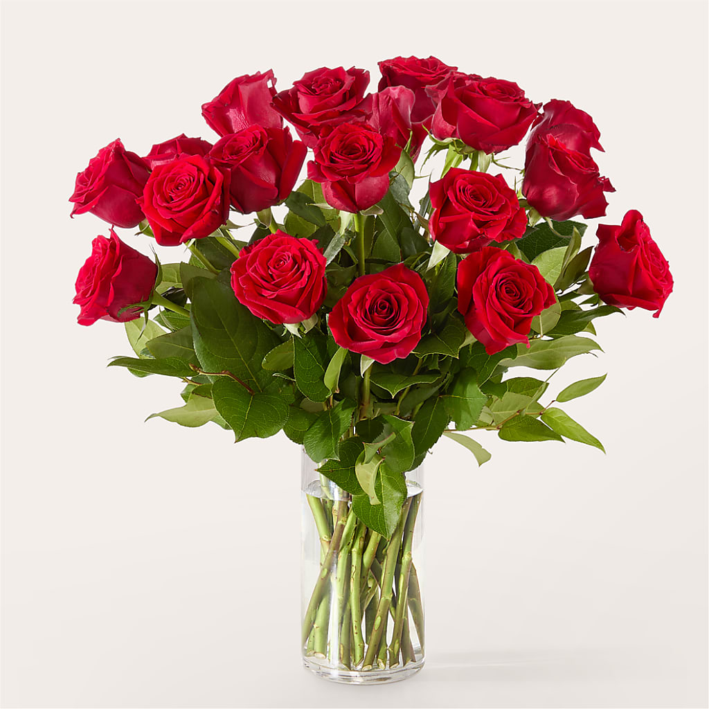 The One Red Rose Bouquet – FELTY-ROLAND FLORIST & PLANT INC, Elizabethton TN