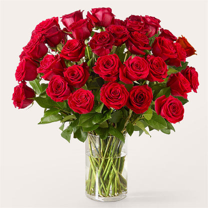 The One Red Rose Bouquet – FELTY-ROLAND FLORIST & PLANT INC, Elizabethton TN