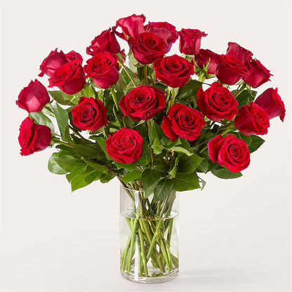 The One Red Rose Bouquet – FELTY-ROLAND FLORIST & PLANT INC, Elizabethton TN
